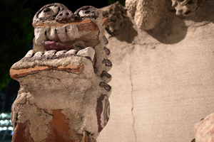 101119 okinawa4 RIMG4083.jpg